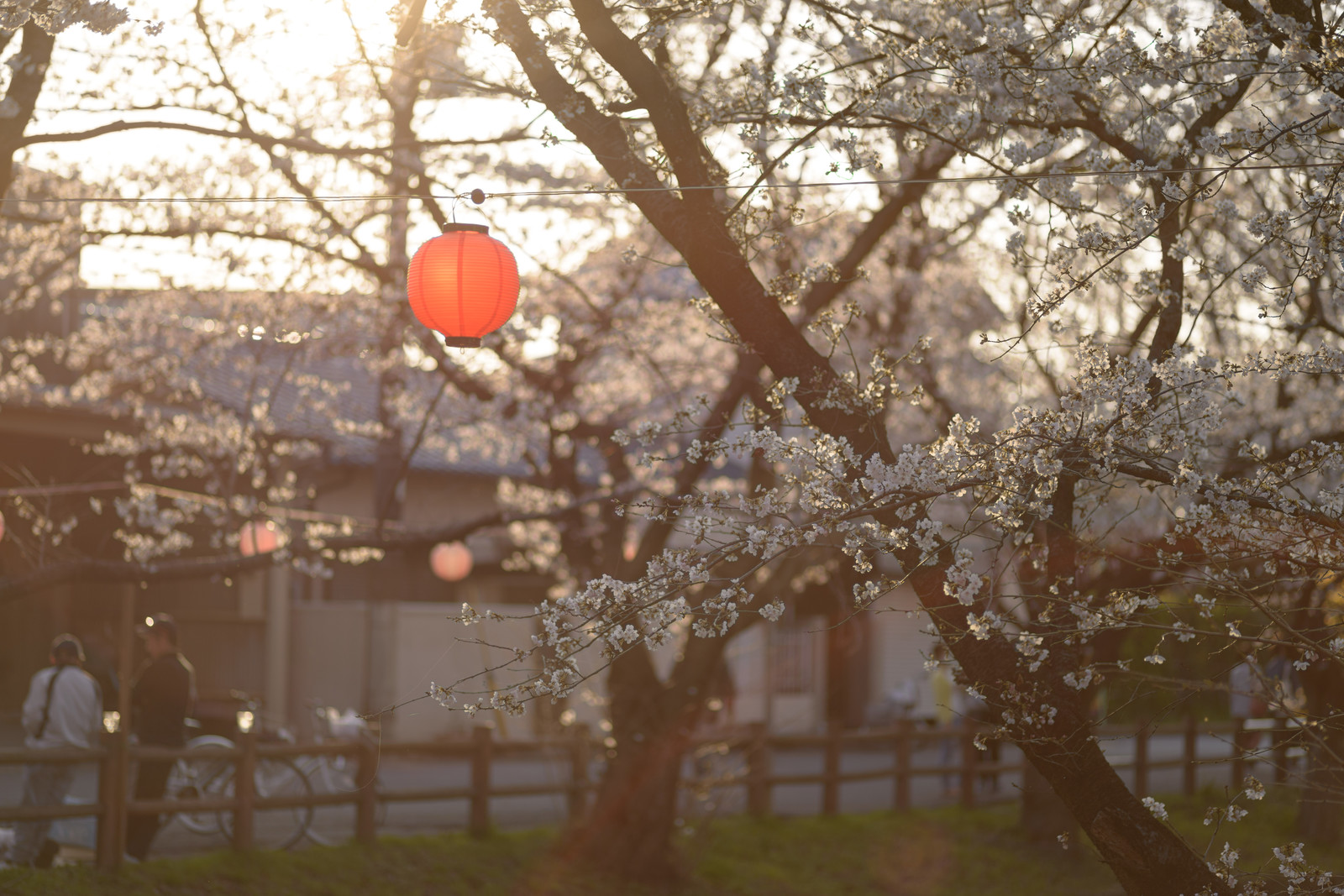 埼玉県