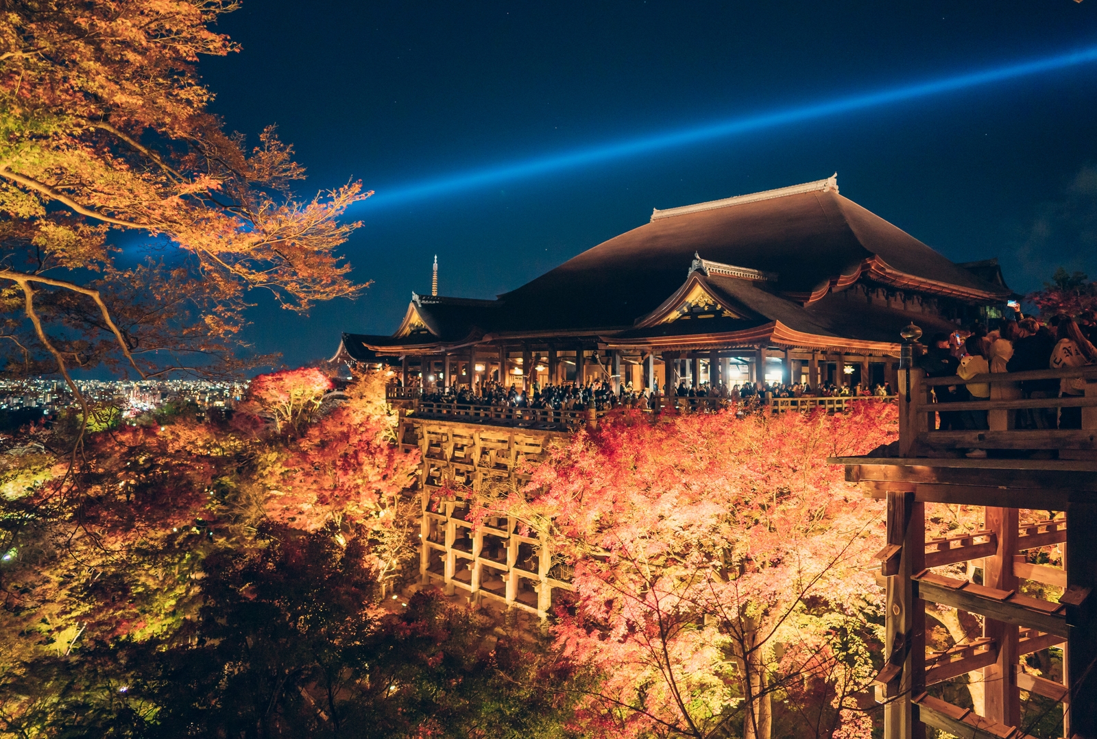 夜の京都