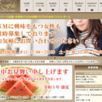 SM専門交際倶楽部六本木ファイル