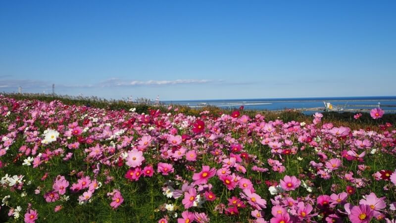 茨城県のパパ活デートにおすすめな場所5選